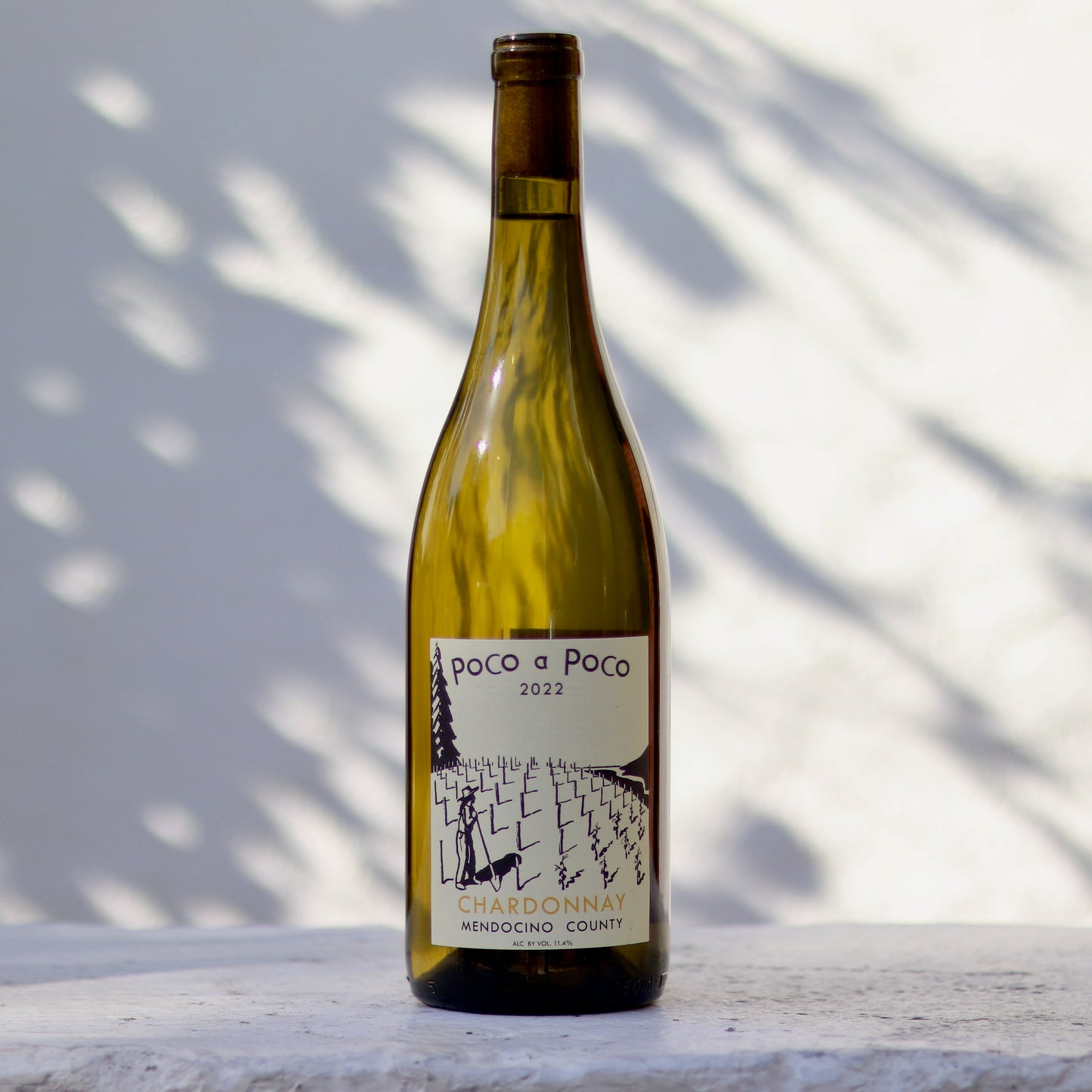 2022 Poco a Poco Mendocino Chardonnay