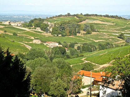 2023 Chateau Cambon Gamay