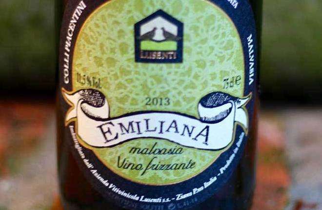 2015 Lusenti Malvasia Secco Frizzante ‘Emiliana’ - Rock Juice Inc