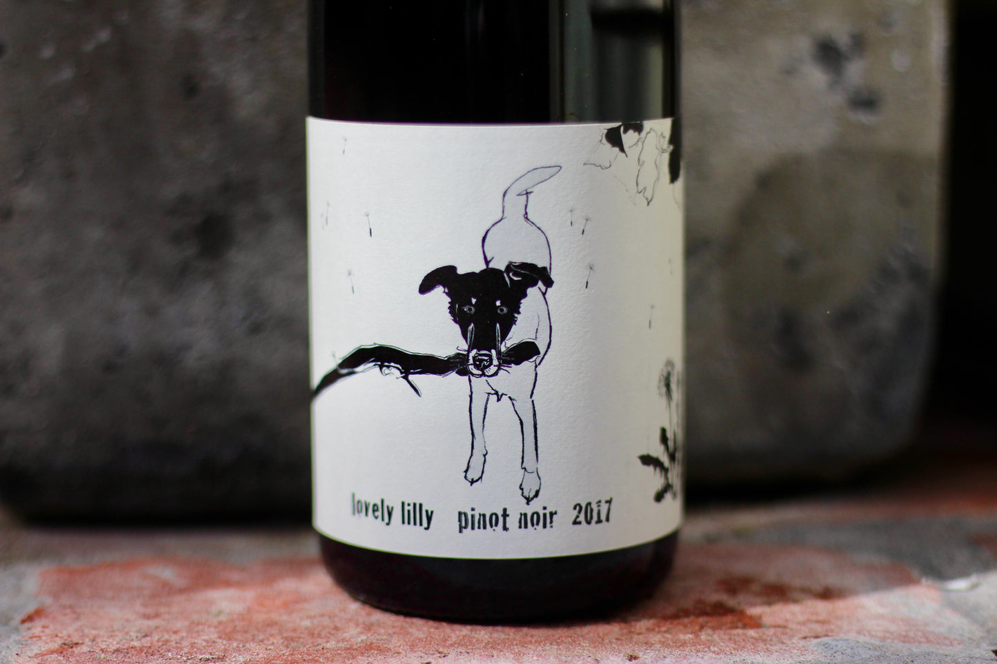 2017 Shelter 'Lovely Lilly' Pinot Noir - Rock Juice Inc