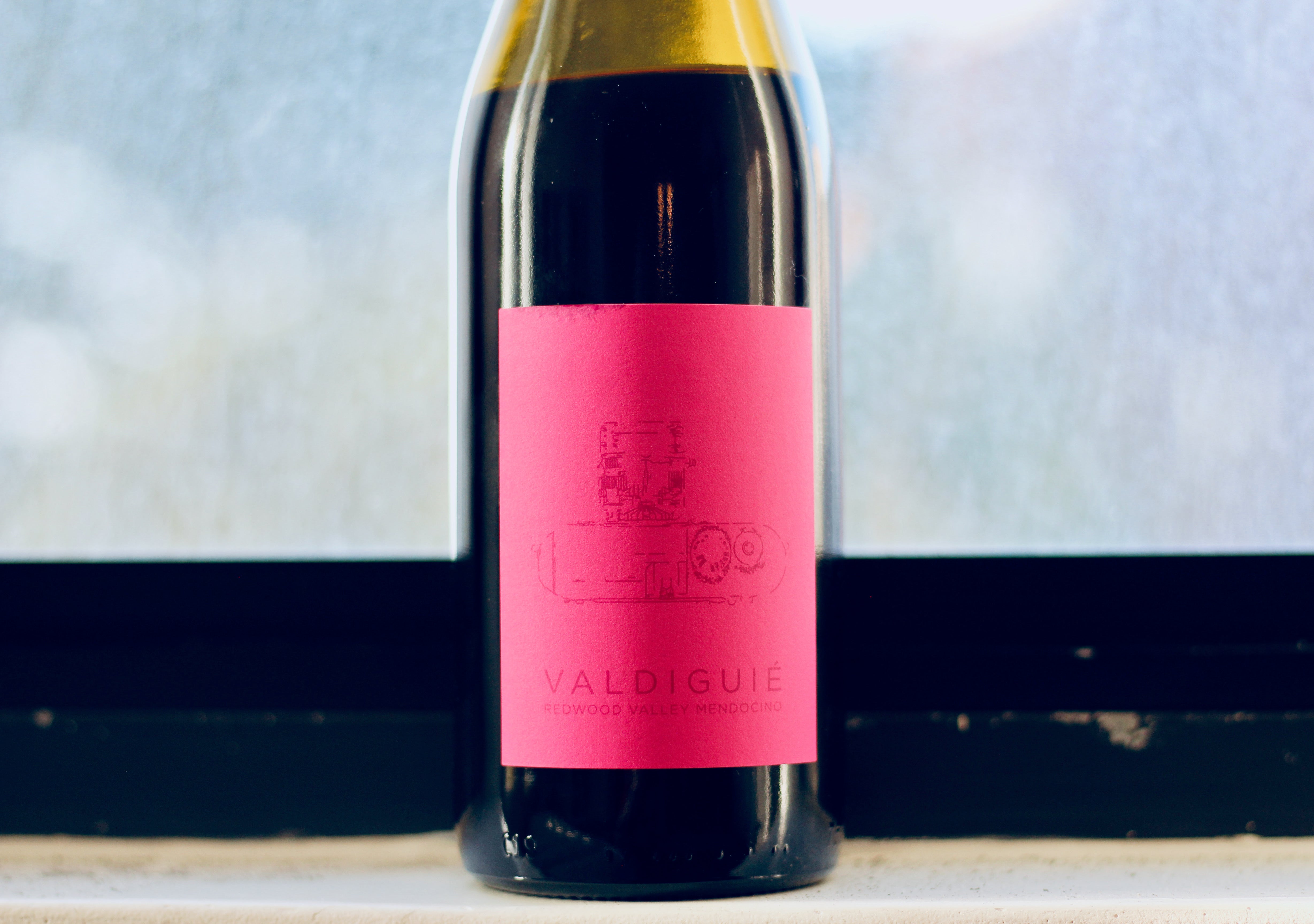 2019 Folk Machine Valdiguié Redwood Valley – Rock Juice