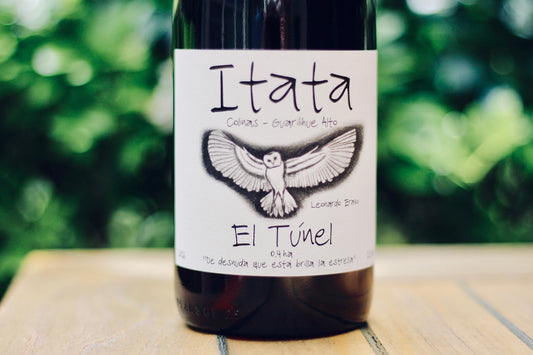 2017 Vinateros Bravos ‘El Tunel’ Cinsault - Rock Juice Inc