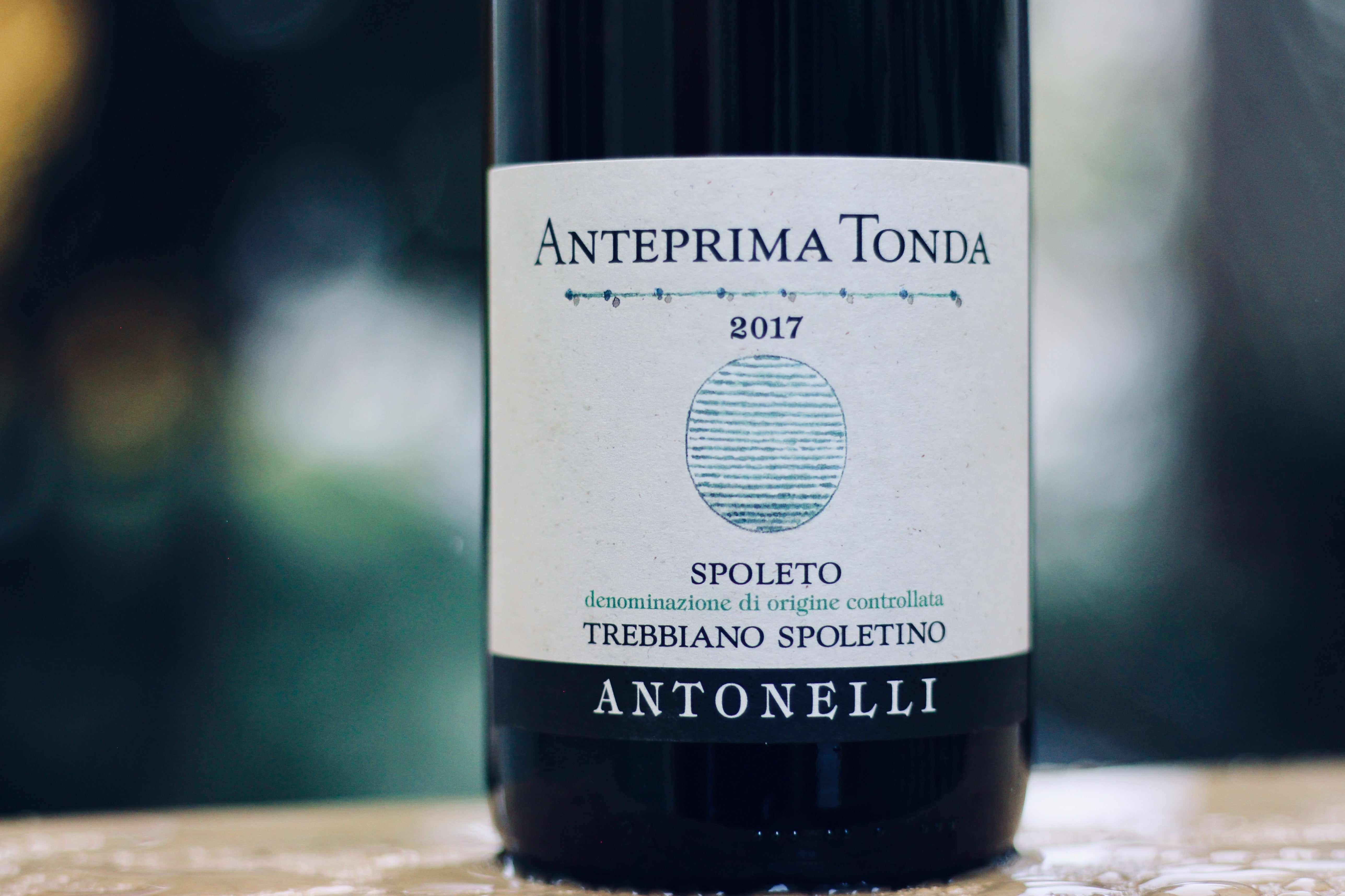 2018 Antonelli Trebbiano ‘Anteprima Tonda’ Amphora