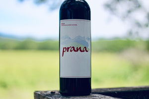 Viña Ilusion 'Prana' Rioja - Rock Juice Inc